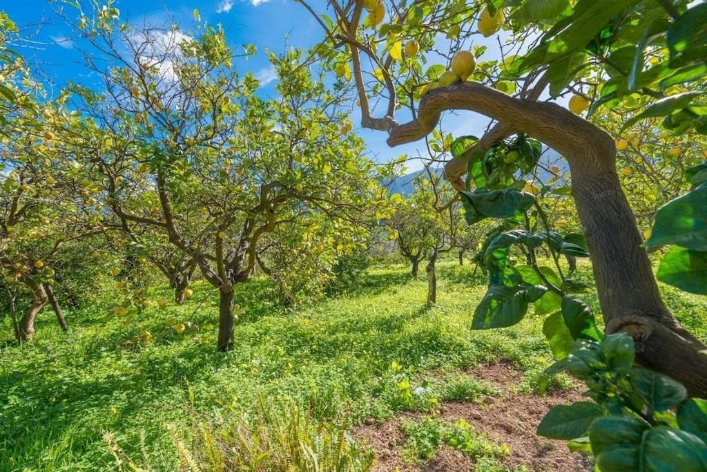 Villa Frontera Soller Luaran gambar